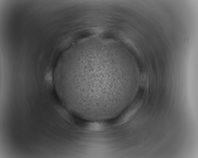 X0000089700238200707051649