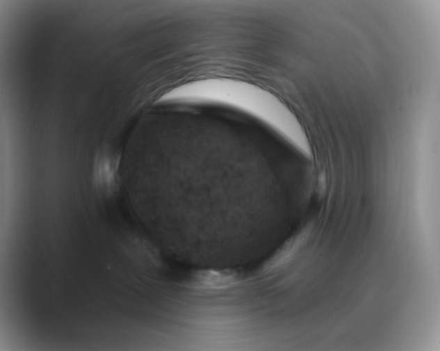 X0000089700239200707051649