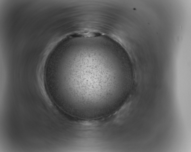 X0000089700241200707051648