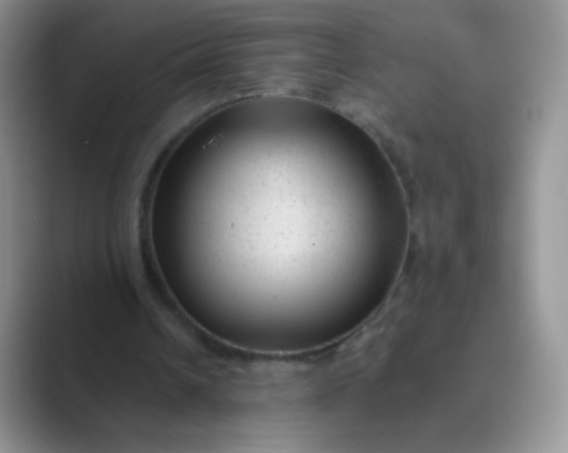 X0000089700242200707051648