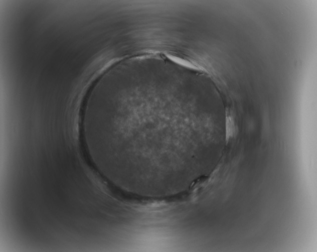 X0000089700243200707051648