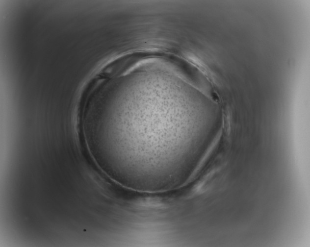 X0000089700244200707051648