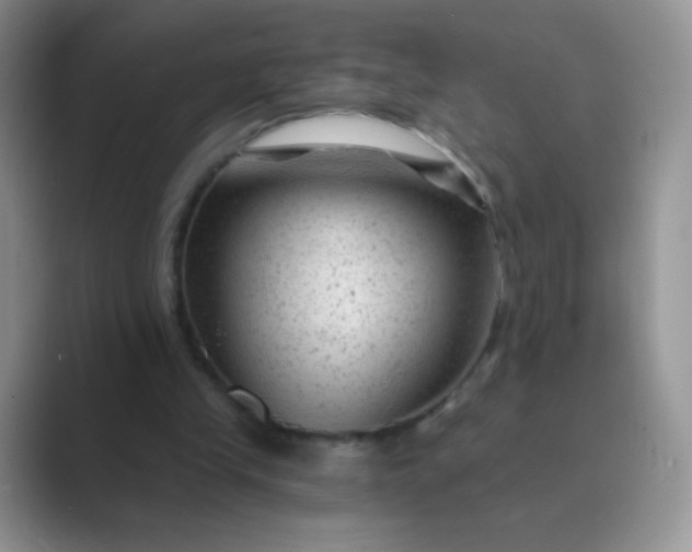 X0000089700245200707051648