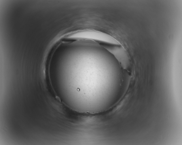 X0000089700246200707051648