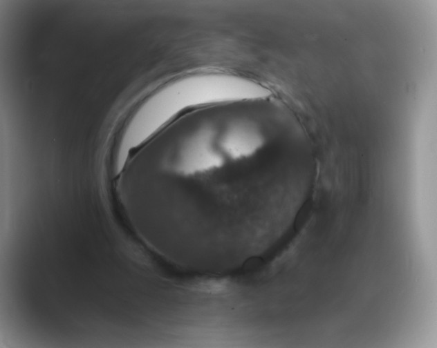 X0000089700247200707051648