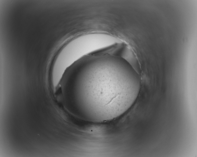 X0000089700248200707051648