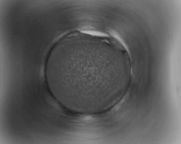 X0000089700249200707051648