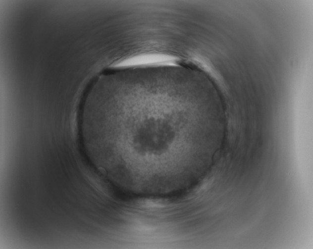 X0000089700250200707051648