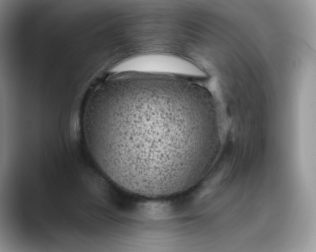 X0000089700251200707051648