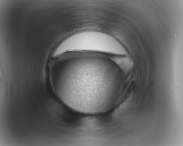 X0000089700252200707051649