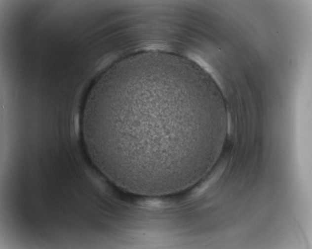 X0000089700253200707051649