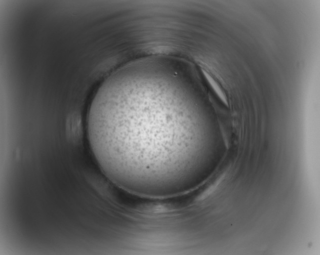 X0000089700254200707051649