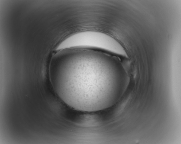 X0000089700255200707051649