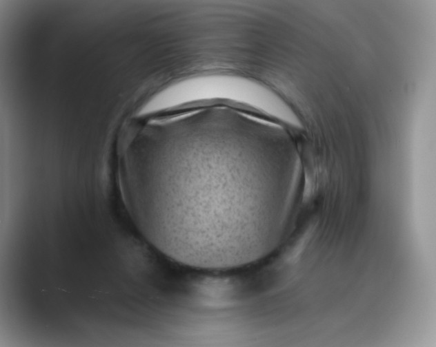 X0000089700256200707051649