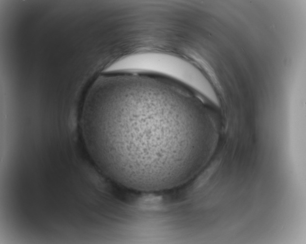 X0000089700257200707051649