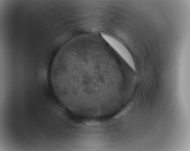 X0000089700258200707051649