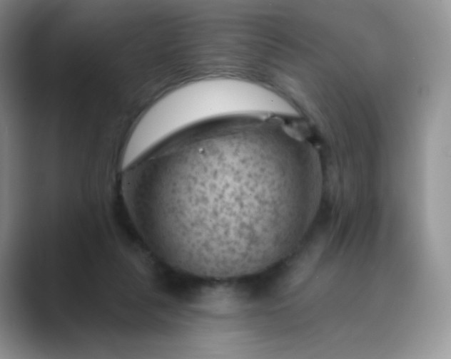 X0000089700259200707051649