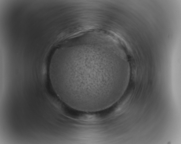 X0000089700260200707051649