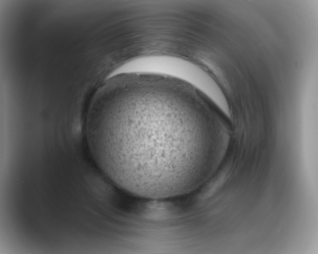 X0000089700261200707051649