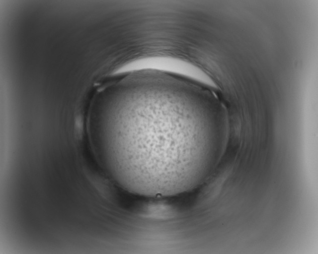 X0000089700262200707051649