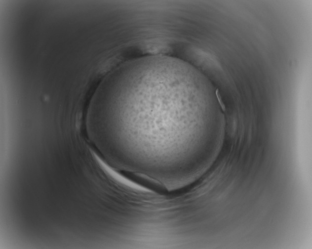 X0000089700263200707051649