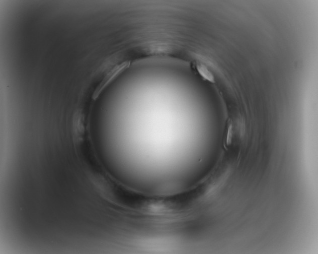 X0000089700264200707051649