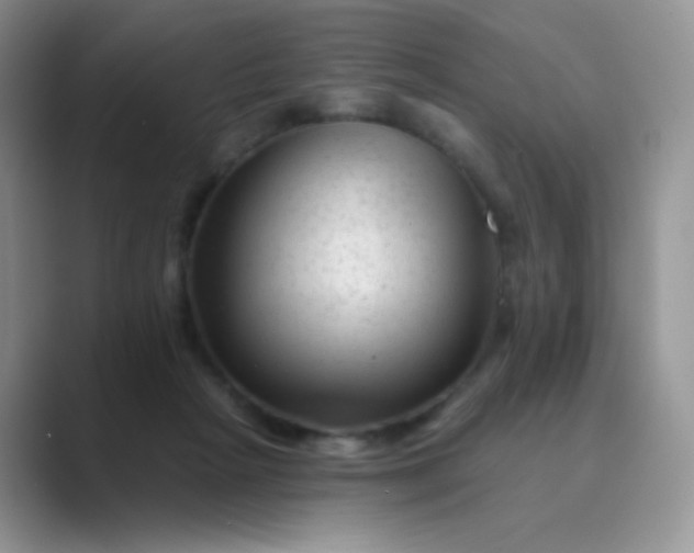 X0000089700265200707051649