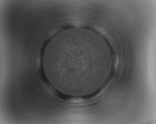 X0000089700266200707051649