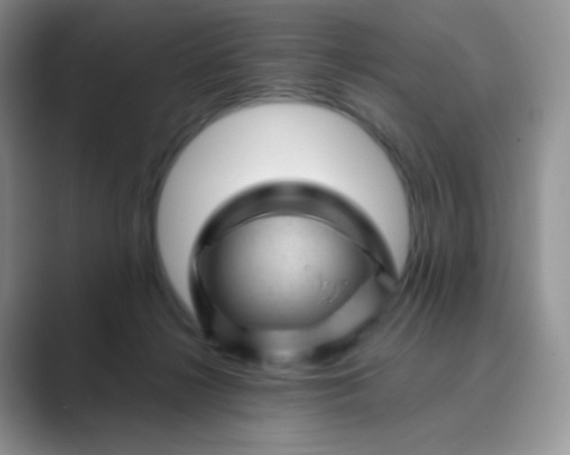 X0000089700268200707051649