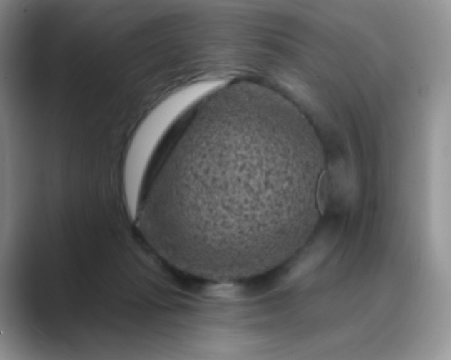 X0000089700269200707051649