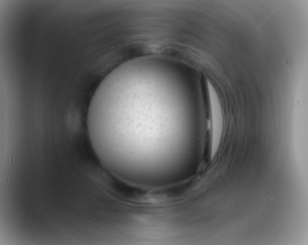 X0000089700270200707051649