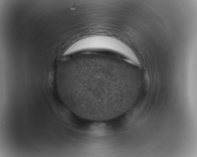 X0000089700271200707051649