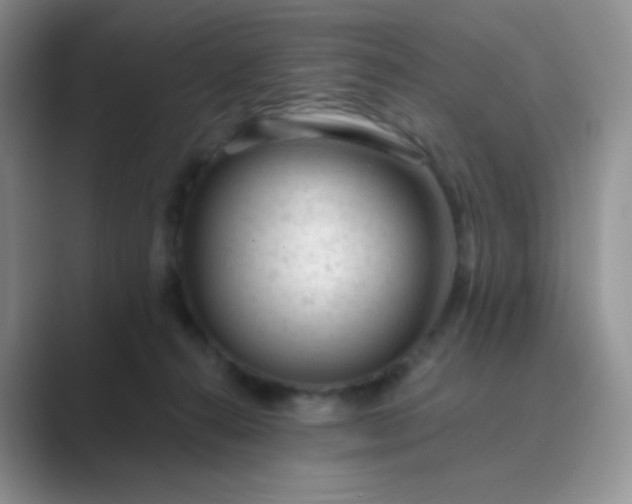 X0000089700272200707051649