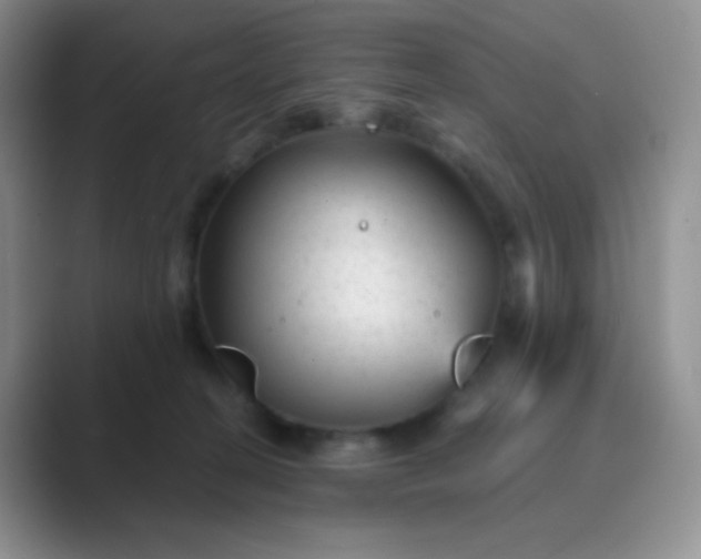 X0000089700274200707051649