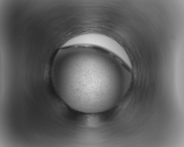 X0000089700275200707051649