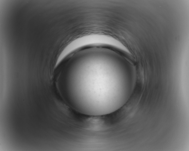 X0000089700280200707051649