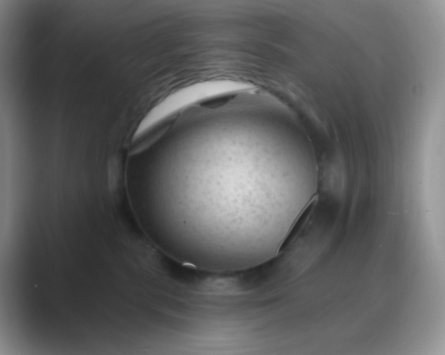 X0000089700283200707051649