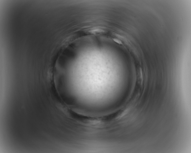 X0000089700284200707051649