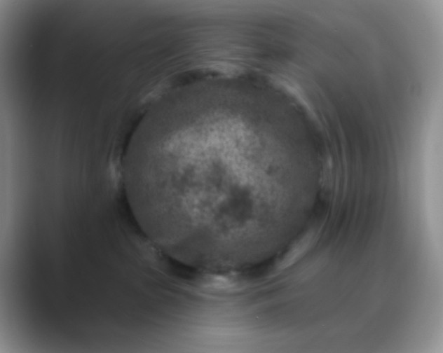 X0000089700285200707051649