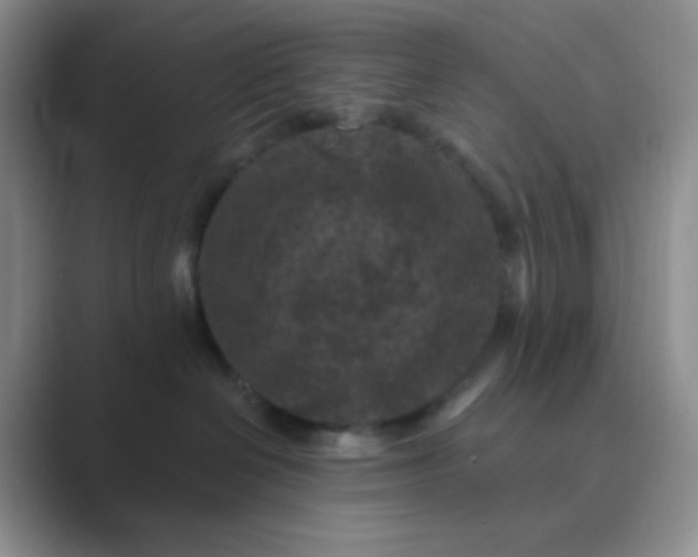 X0000089700286200707051649