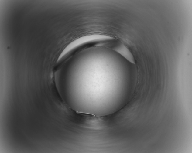 X0000089700288200707051649