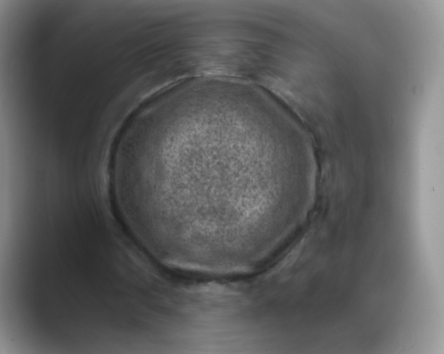 X0000089700290200707051648