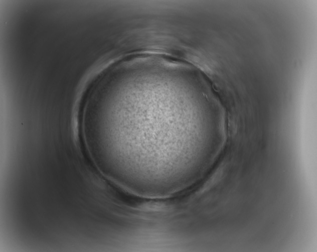 X0000089700294200707051648