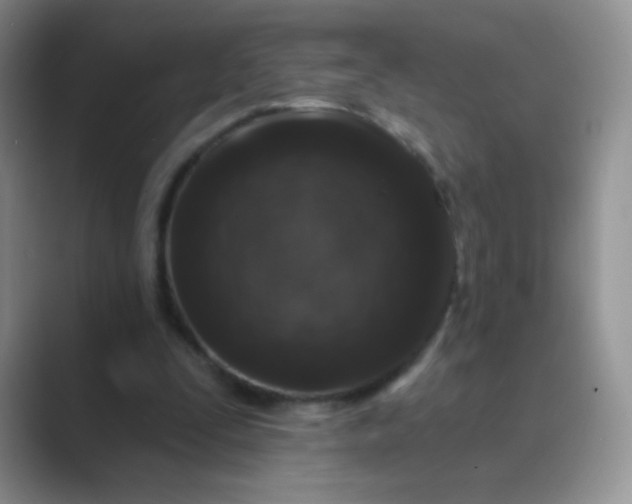 X0000089700295200707051648