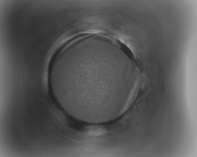 X0000089700296200707051648