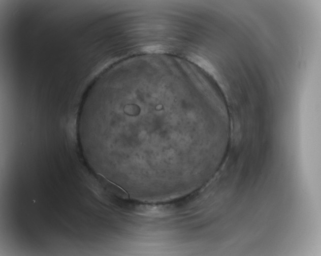 X0000089700297200707051648