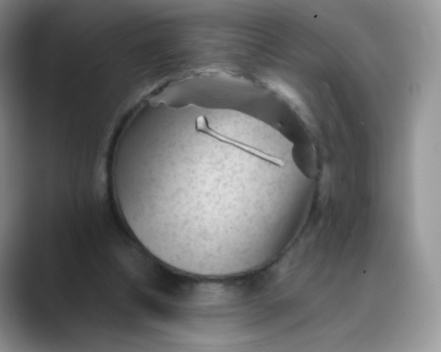 X0000089700298200707051648