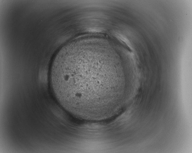 X0000089700299200707051648