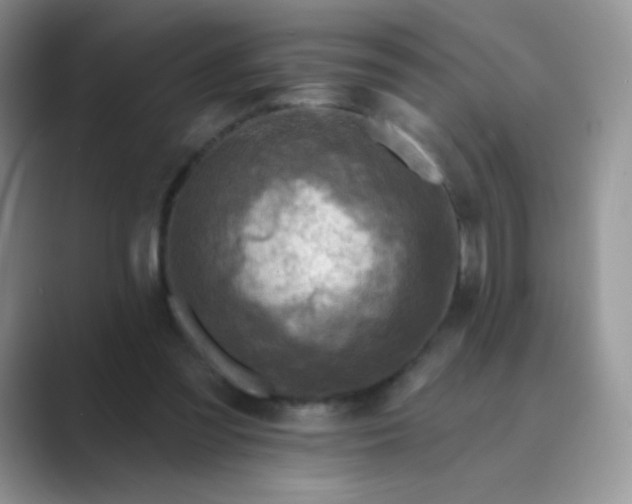 X0000089700301200707051648