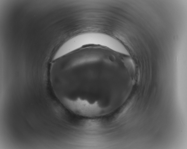 X0000089700303200707051648